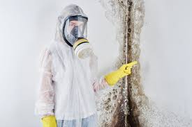 Best Forensic Mold Investigation  in Adamsville, AL